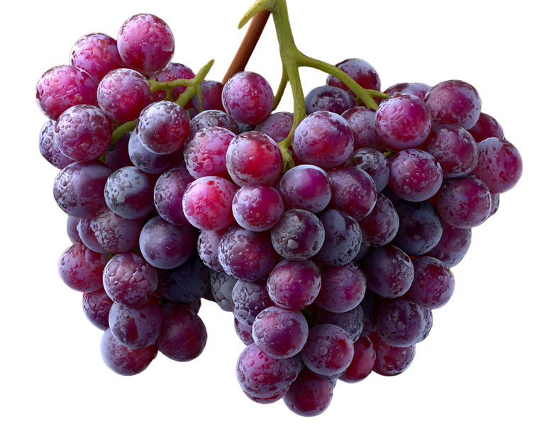 Purple Grape Clusters Vinyl Car Decal Sticker – Waterproof & UV-Resistant 3.2"