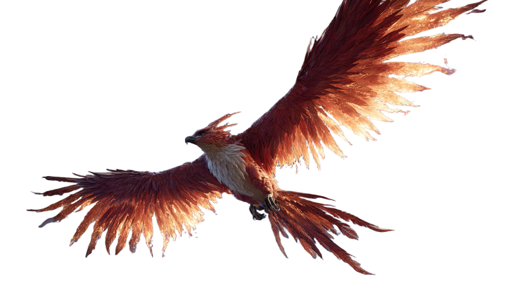 Fiery Phoenix Soaring V2 Vinyl Car Decal Sticker – Waterproof & UV-Resistant 5.4