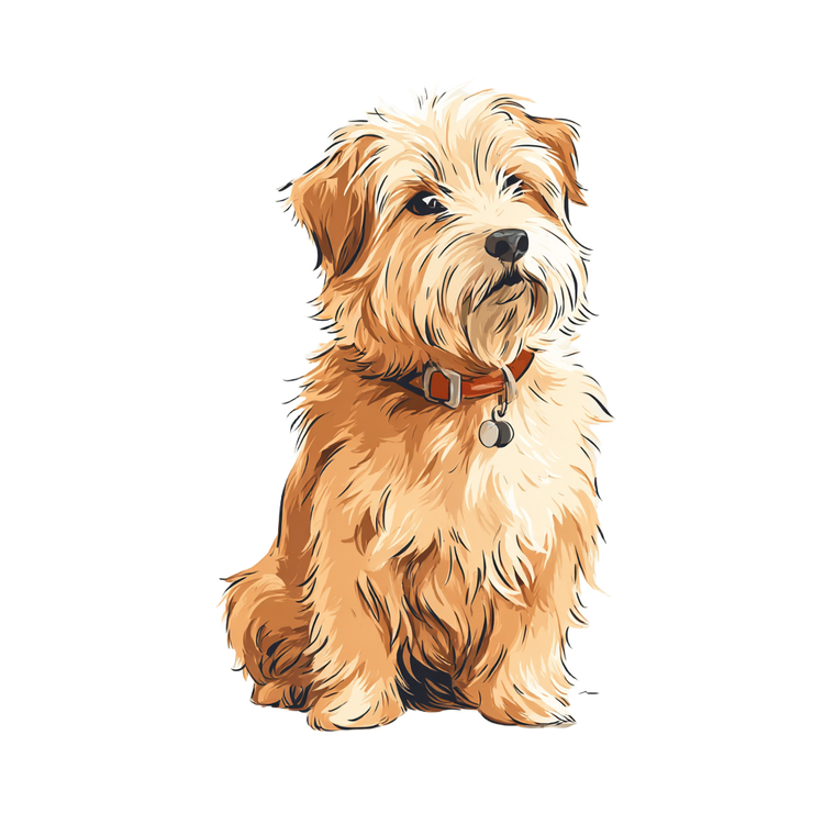 Norfolk Terrier Vinyl Car Decal Sticker – Waterproof & UV-Resistant 6.826666666666667"