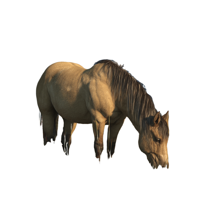Buckskin Pony Grazing Vinyl Car Decal Sticker – Waterproof & UV-Resistant 3.4133333333333336"