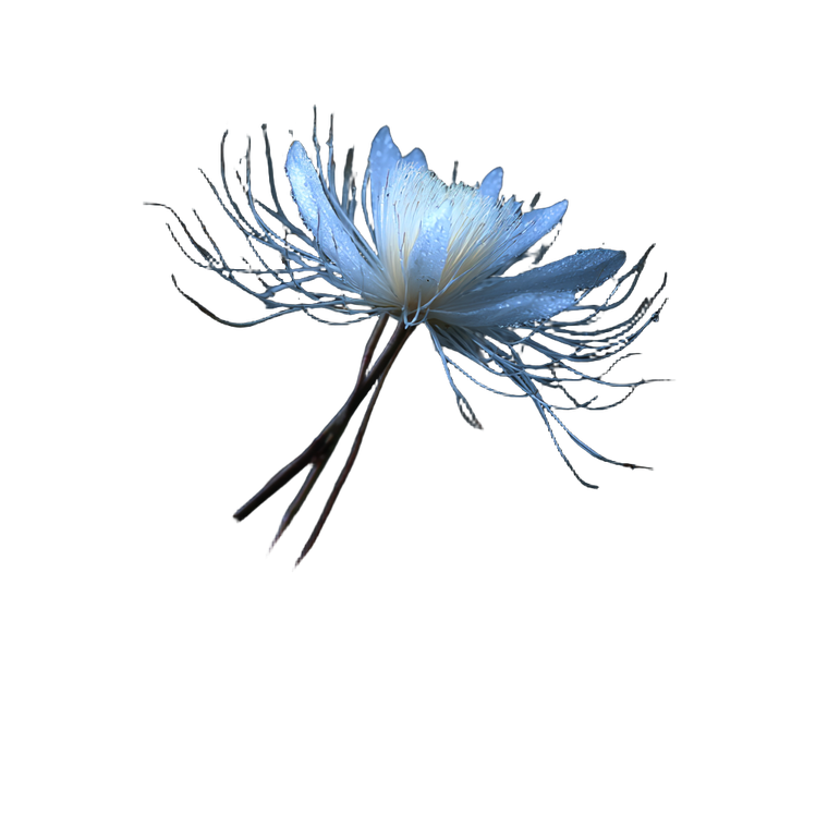 Ethereal Glow Flower Vinyl Car Decal Sticker – Waterproof & UV-Resistant 6.826666666666667"