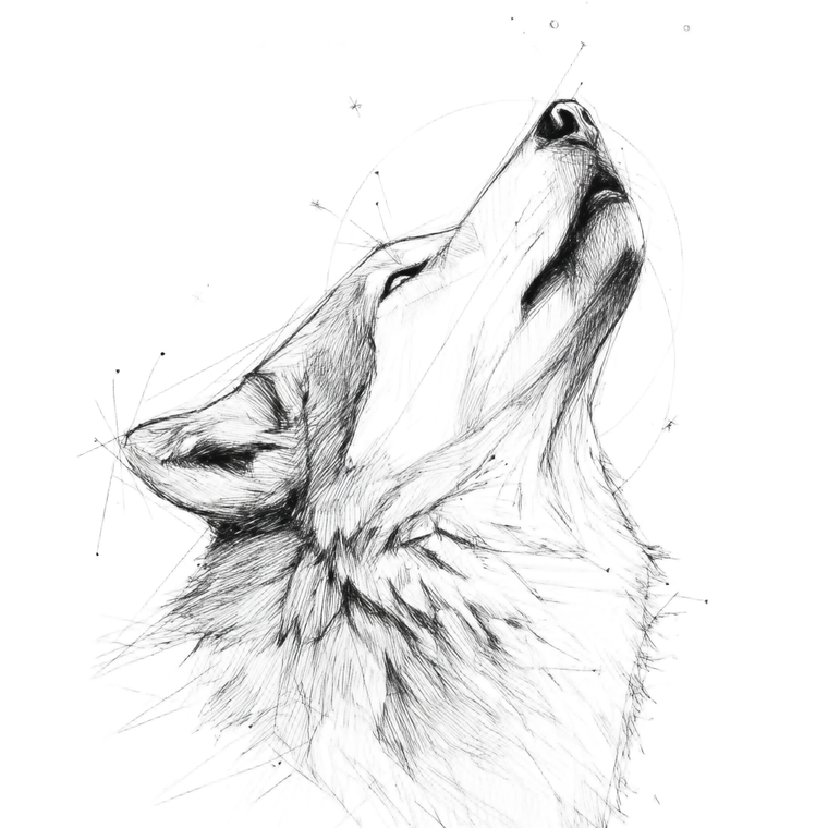 Wolf Sketch V3 Vinyl Car Decal Sticker – Waterproof & UV-Resistant 3.4133333333333336"