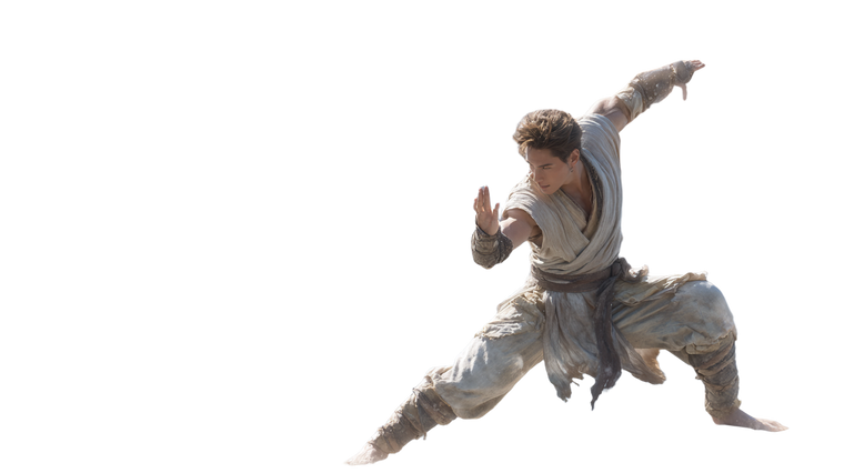 Elven Kung-Fu Tiger Vinyl Car Decal Sticker – Waterproof & UV-Resistant 5.4