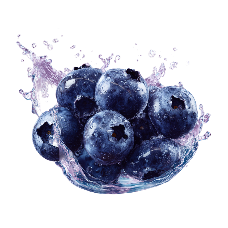 Floating Blueberry Slice Vinyl Car Decal Sticker – Waterproof & UV-Resistant 3.4133333333333336"