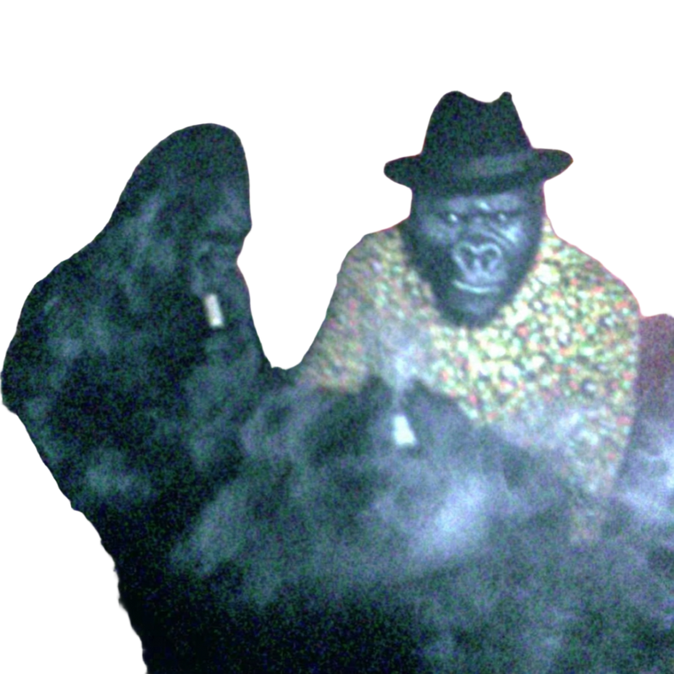 Pimp Gorillas Vinyl Car Decal Sticker – Waterproof & UV-Resistant 6.826666666666667"