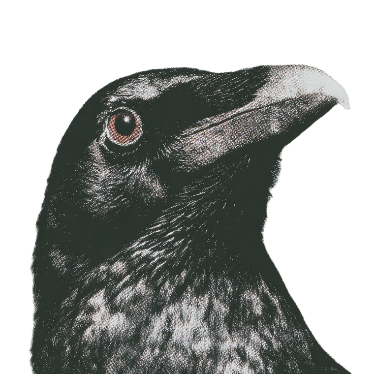 Raven'S Eye V2 Vinyl Car Decal Sticker – Waterproof & UV-Resistant 6.826666666666667"