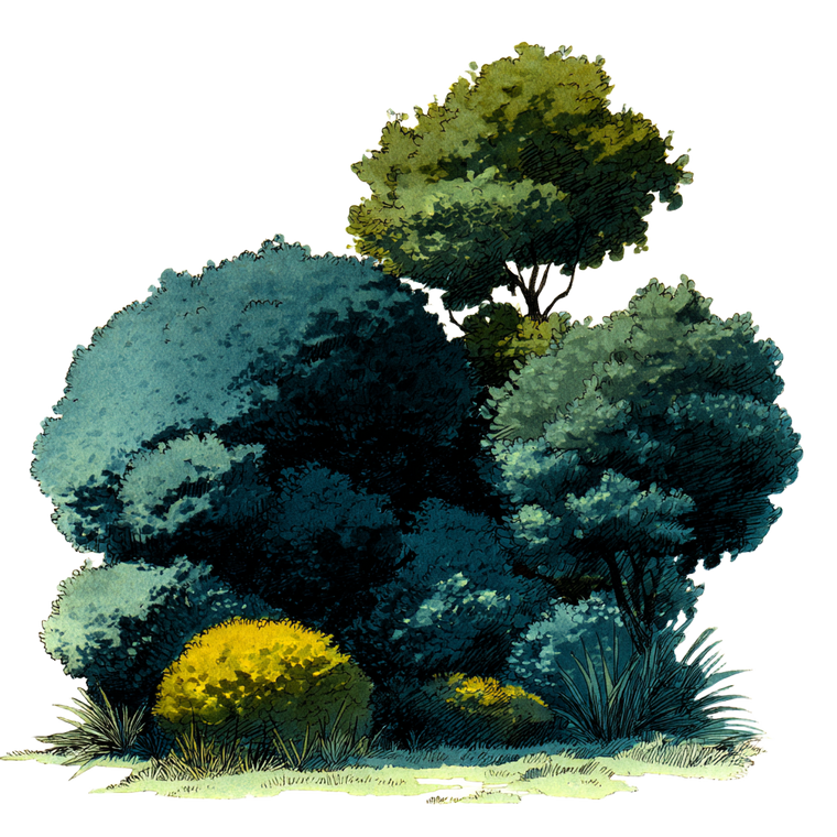 Manga Style Bushes Vinyl Car Decal Sticker – Waterproof & UV-Resistant 3.4133333333333336" Manga Style Bushes Vinyl Car Decal Sticker – Waterproof & UV-Resistant 3.4133333333333336"