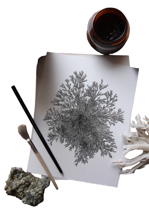 Ink Art Limnophila Vinyl Car Decal Sticker – Waterproof & UV-Resistant 8.96"