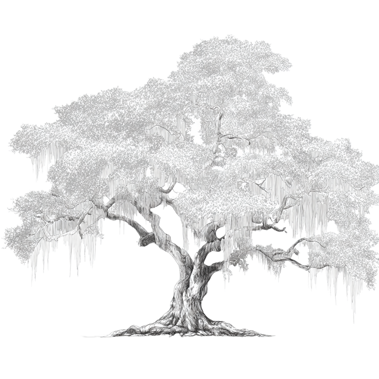 Angel Oak Tree V2 Vinyl Car Decal Sticker – Waterproof & UV-Resistant 3.4133333333333336"