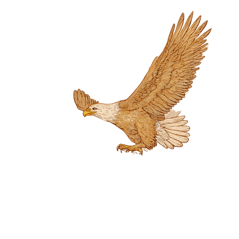 Flying Eagle Drawing Vinyl Car Decal Sticker – Waterproof & UV-Resistant 3.4133333333333336"