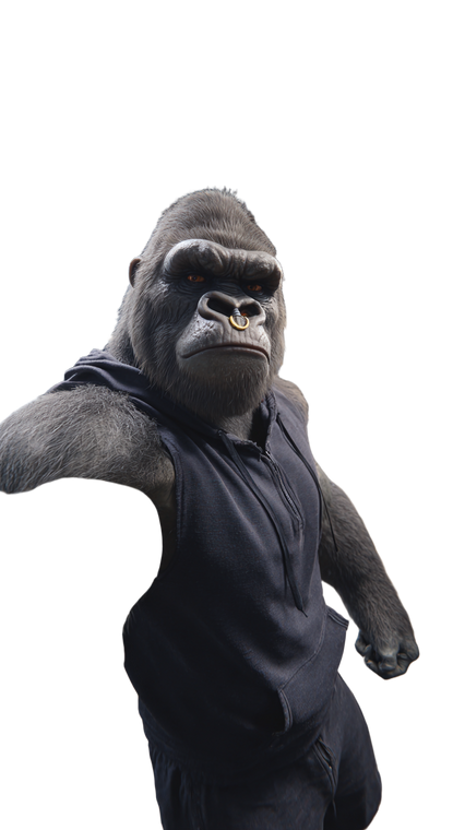 Gorilla Gym Selfie V2 Vinyl Car Decal Sticker – Waterproof & UV-Resistant 9.706666666666667"