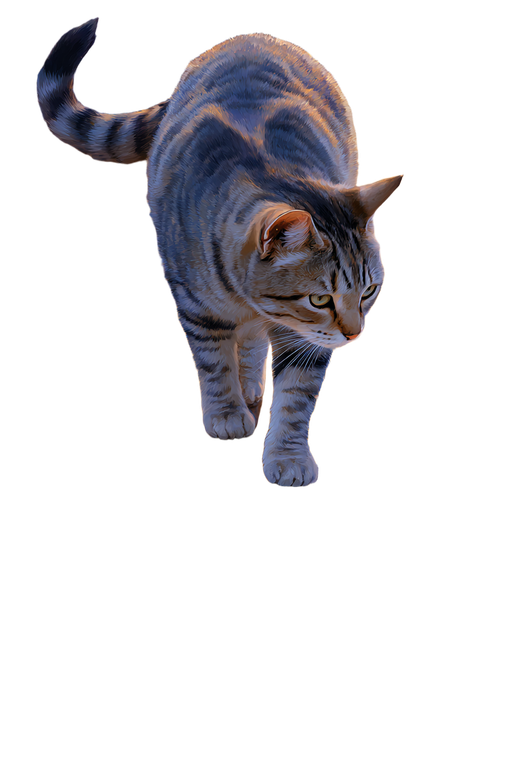 Golden Path Tabby Vinyl Car Decal Sticker – Waterproof & UV-Resistant 4.4