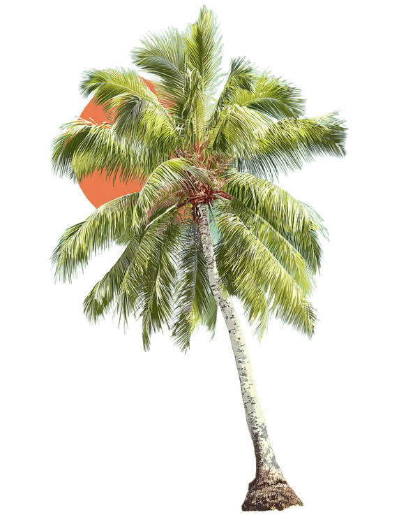 Palm Tree Outline Vinyl Car Decal Sticker – Waterproof & UV-Resistant 8.213333333333333"