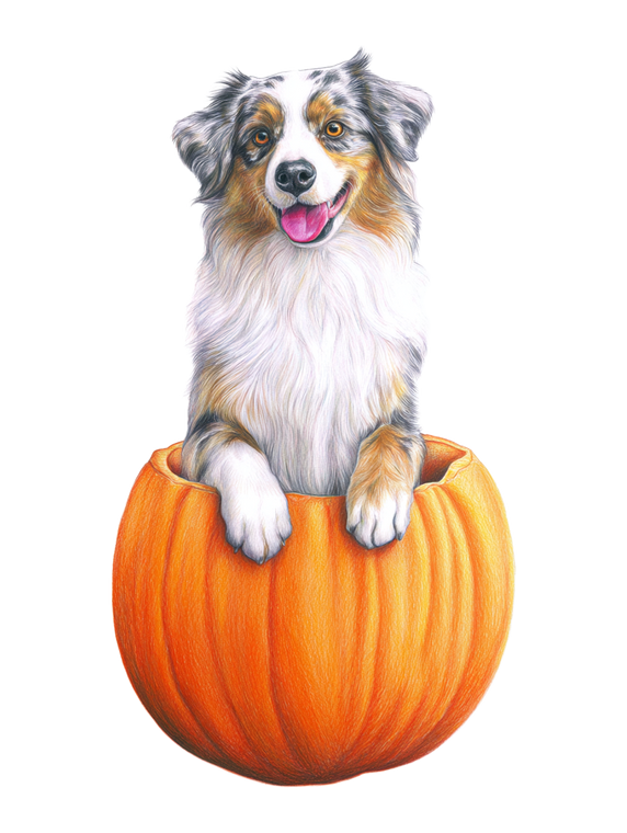 Happy Shepherd In Pumpkin Vinyl Car Decal Sticker – Waterproof & UV-Resistant 4.1066666666666665"