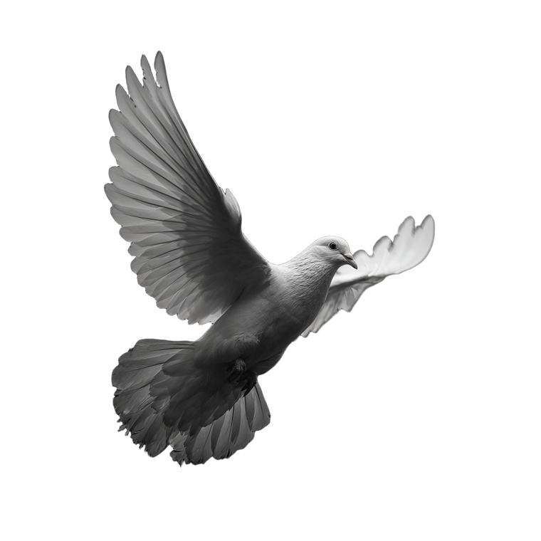 Dove In Flight V2 Vinyl Car Decal Sticker – Waterproof & UV-Resistant 3.4133333333333336"