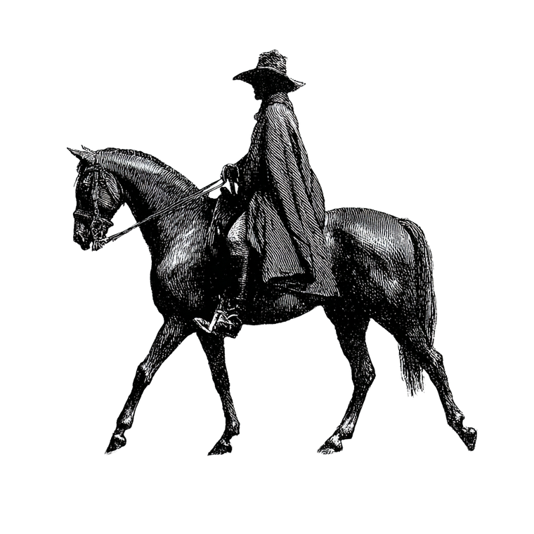 Equestrian Rider V4 Vinyl Car Decal Sticker – Waterproof & UV-Resistant 3.4133333333333336"