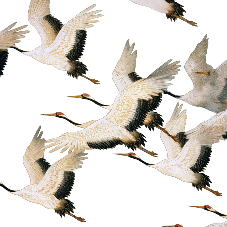 Flying White Cranes V2 Vinyl Car Decal Sticker – Waterproof & UV-Resistant 6.826666666666667"