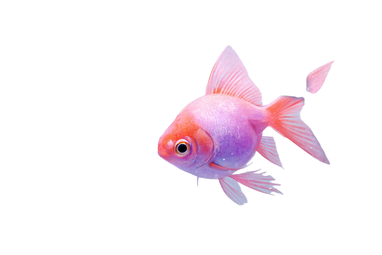 Colorful Dreamy Fish Vinyl Car Decal Sticker – Waterproof & UV-Resistant 2.986666666666667"