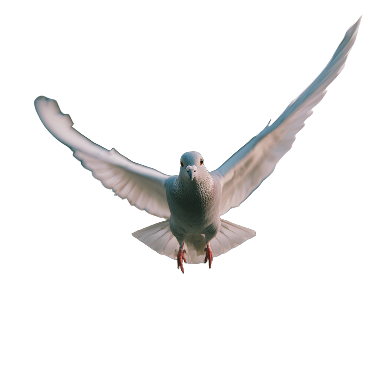 Flying Pigeon V5 Vinyl Car Decal Sticker – Waterproof & UV-Resistant 3.4133333333333336"