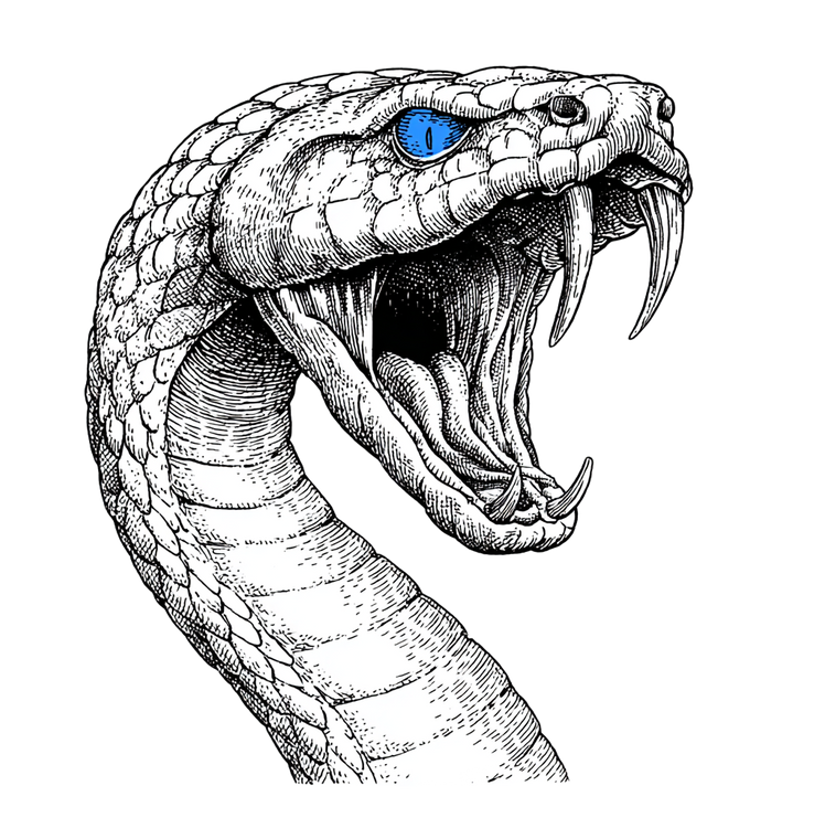 Glowing-Eyed Snake Vinyl Car Decal Sticker – Waterproof & UV-Resistant 3.466666666666667"