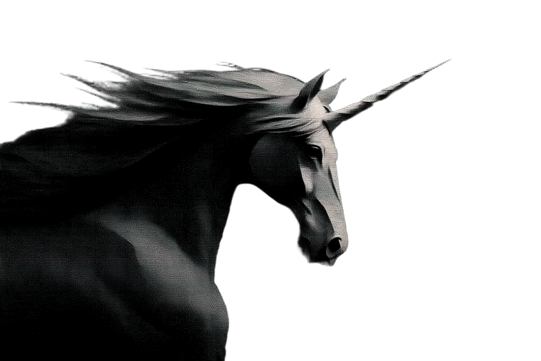 Elegant Unicorn Logo Vinyl Car Decal Sticker – Waterproof & UV-Resistant 5.97333333333333