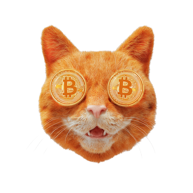 Bitcoin Cat V2 Vinyl Car Decal Sticker – Waterproof & UV-Resistant 3.4133333333333336"