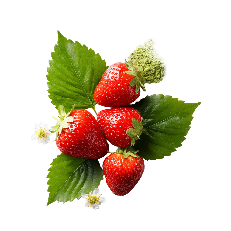 Strawberries Matcha Vinyl Car Decal Sticker – Waterproof & UV-Resistant 6.826666666666667"