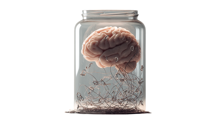 Floating Brain Concept Vinyl Car Decal Sticker – Waterproof & UV-Resistant 5.4