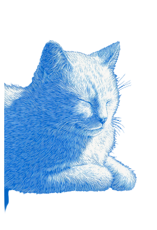 Sleeping Cat Print Vinyl Car Decal Sticker – Waterproof & UV-Resistant 4.373333333333333"