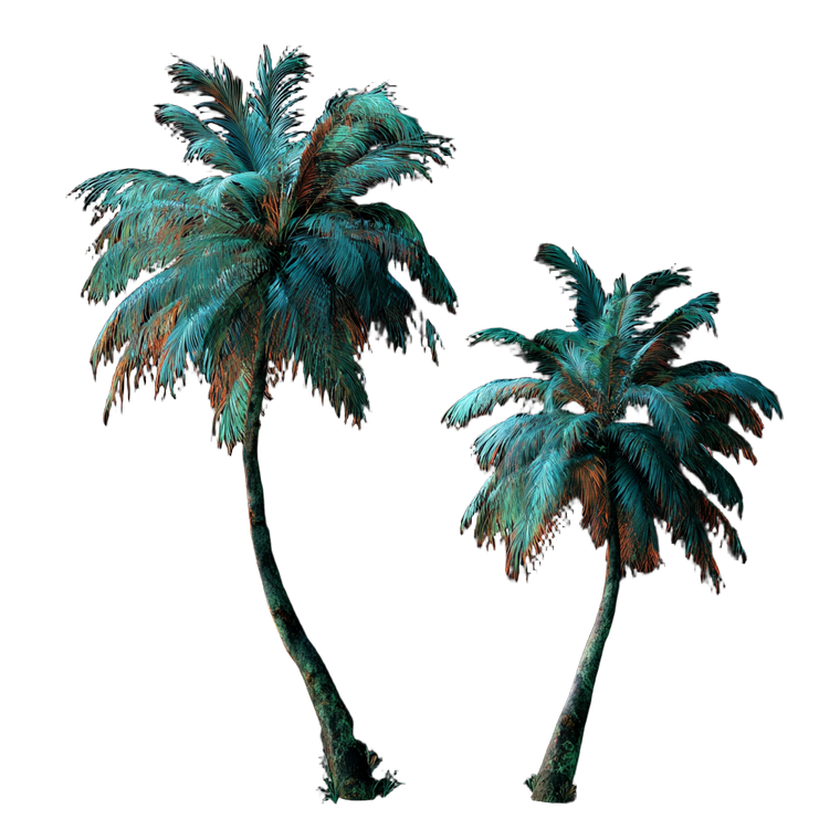 Mystical Palm Trees Vinyl Car Decal Sticker – Waterproof & UV-Resistant 6.826666666666667"