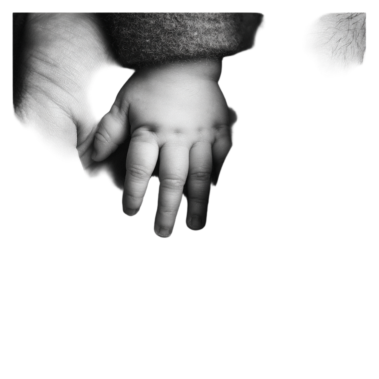 Family Hands Vinyl Car Decal Sticker – Waterproof & UV-Resistant 3.4133333333333336"