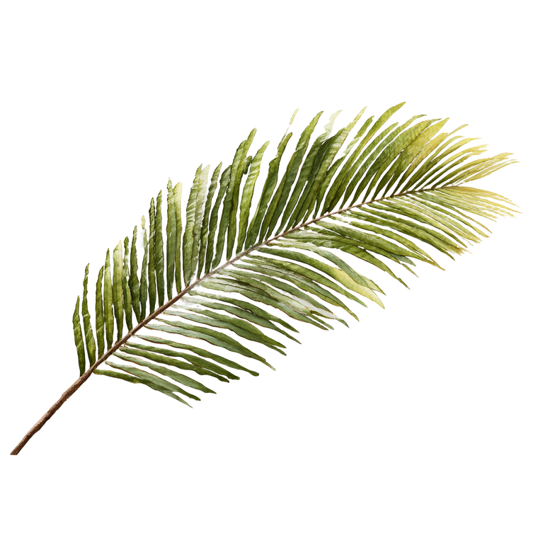 Big Palm Leaf Vinyl Car Decal Sticker – Waterproof & UV-Resistant 6.826666666666667"