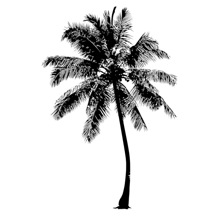 Black Cartoon Coconut Tree Vinyl Car Decal Sticker – Waterproof & UV-Resistant 3.4133333333333336"