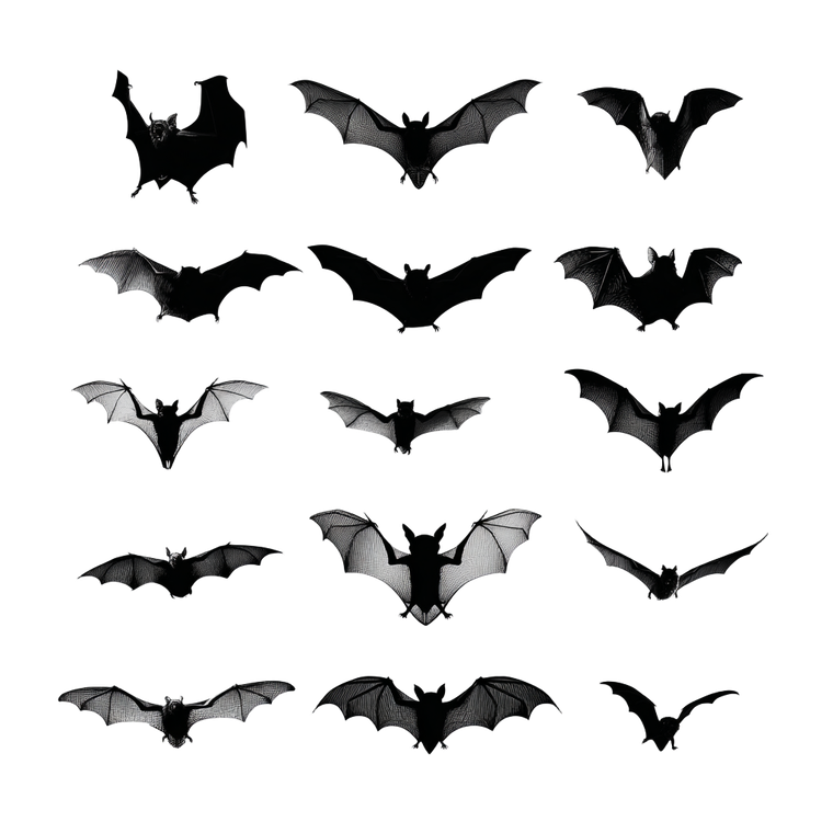 Bat Silhouettes V2 Vinyl Car Decal Sticker – Waterproof & UV-Resistant 3.4133333333333336"