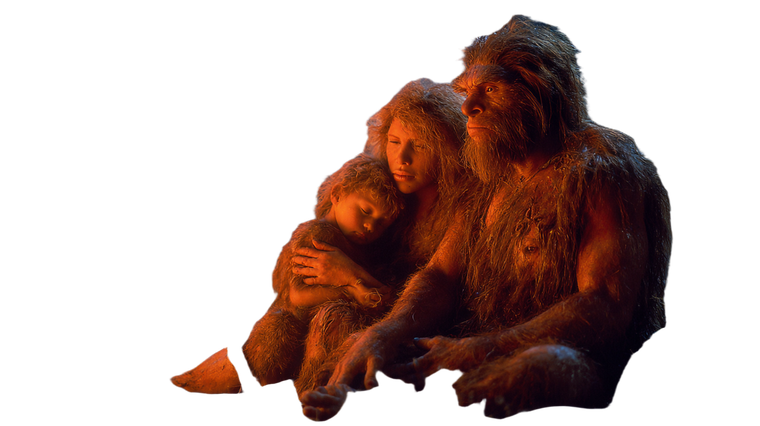 Hominid Family Safe Vinyl Car Decal Sticker – Waterproof & UV-Resistant 5.4