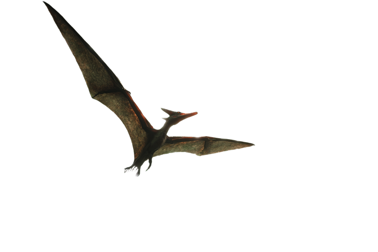 Flying Pterodactyl V2 Vinyl Car Decal Sticker – Waterproof & UV-Resistant 5.97333333333333