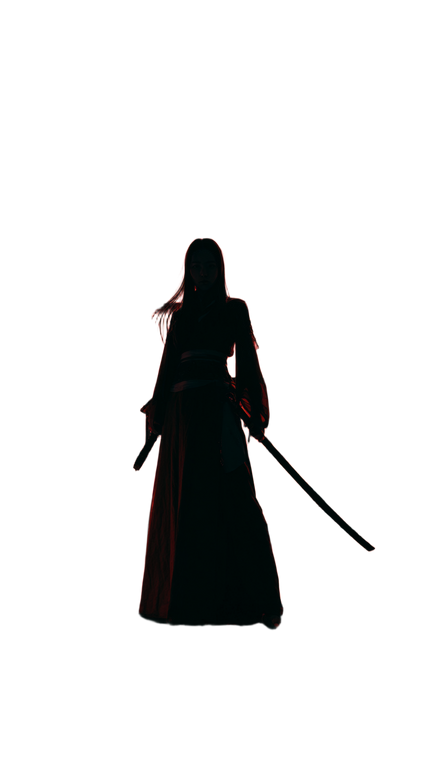 Silhouette Warrior V2 Vinyl Car Decal Sticker – Waterproof & UV-Resistant 9.706666666666667"