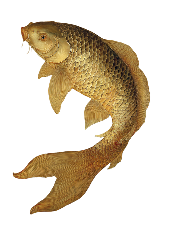 Ancient Chinese Carp Vinyl Car Decal Sticker – Waterproof & UV-Resistant 4.1066666666666665"