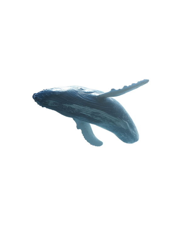 Whale Leap Waterfall Vinyl Car Decal Sticker – Waterproof & UV-Resistant 4.0"