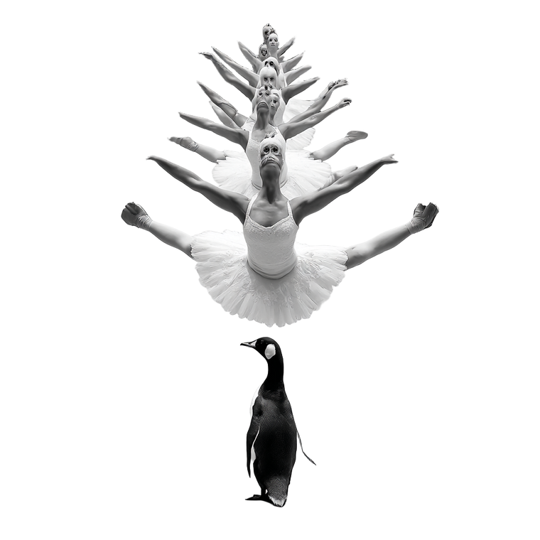 Swan Lake Dancers Vinyl Car Decal Sticker – Waterproof & UV-Resistant 6.826666666666667"