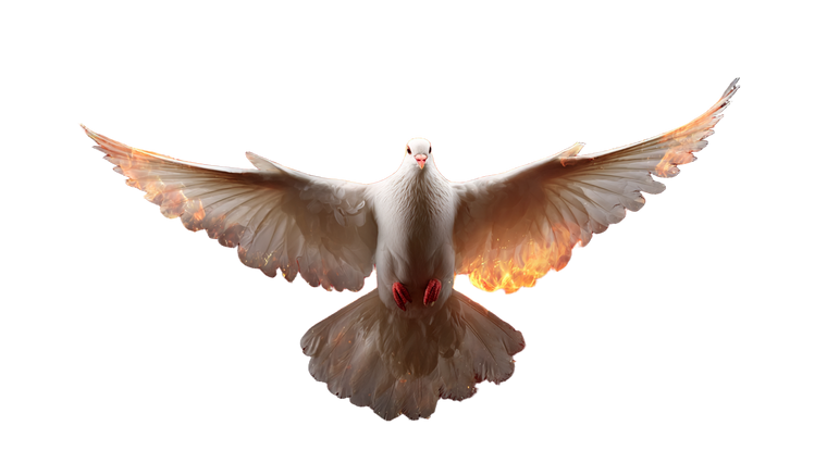 Fiery Dove Cross Vinyl Car Decal Sticker – Waterproof & UV-Resistant 2.72"