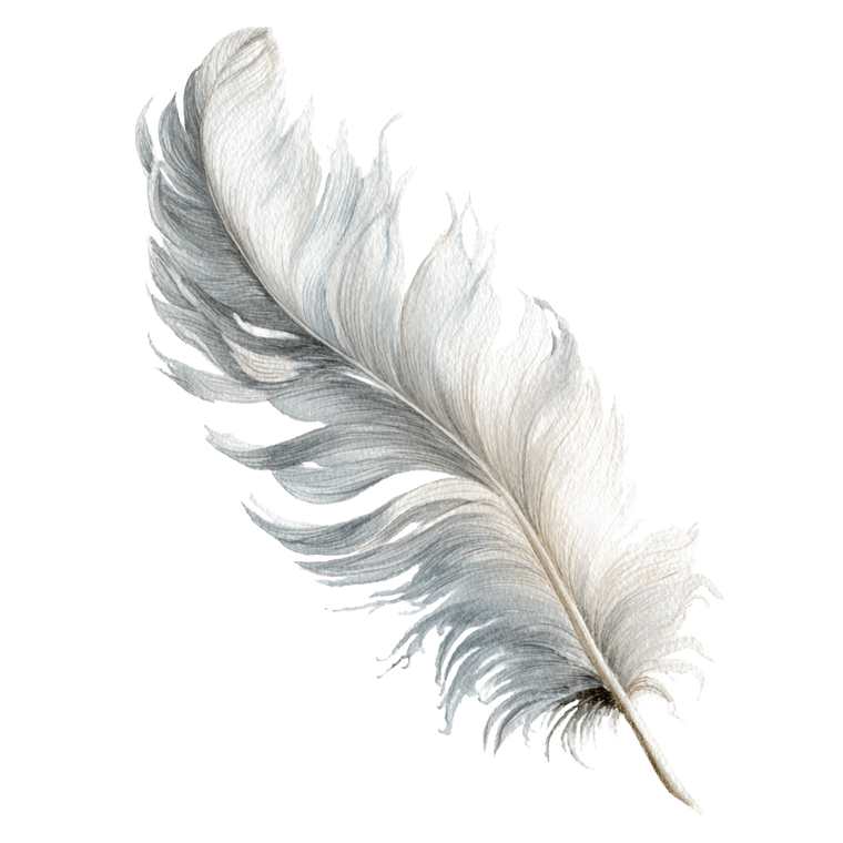 White Feather Cartoon Vinyl Car Decal Sticker – Waterproof & UV-Resistant 6.826666666666667"