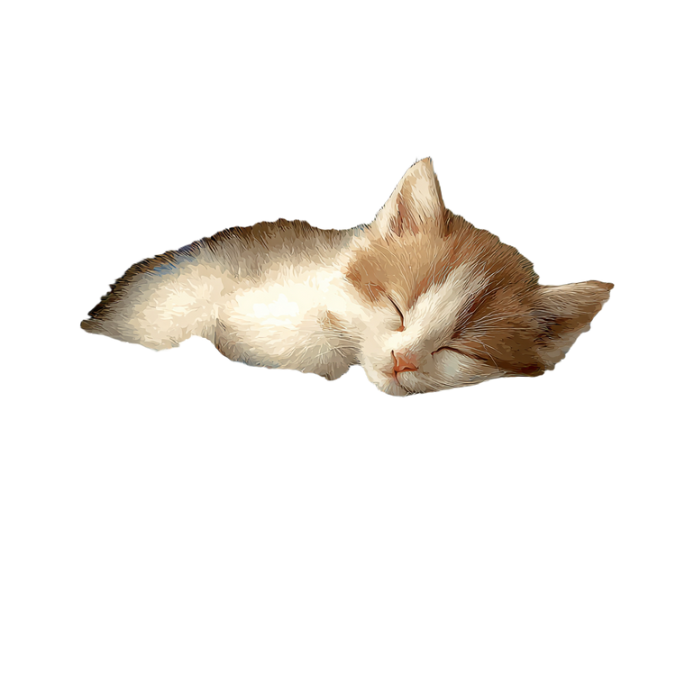 Sleeping Kitten V10 Vinyl Car Decal Sticker – Waterproof & UV-Resistant 3.4133333333333336"