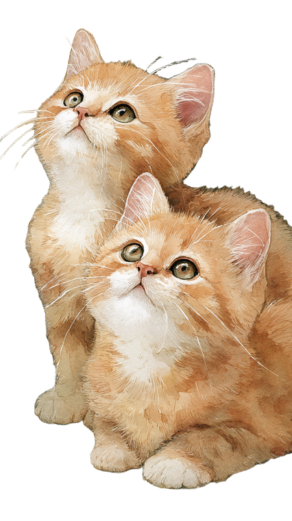 Cute Kittens Illustration Vinyl Car Decal Sticker – Waterproof & UV-Resistant 4.8533333333333335"