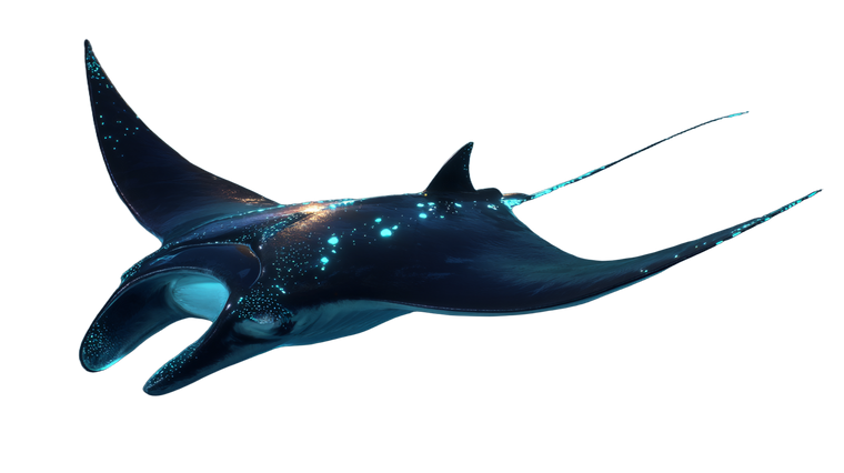Glowing Manta Ray V2 Vinyl Car Decal Sticker – Waterproof & UV-Resistant 5.4