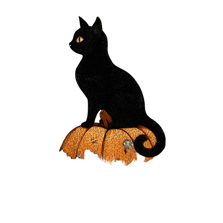 Black Cat Pumpkin V3 Vinyl Car Decal Sticker – Waterproof & UV-Resistant 3.4133333333333336"