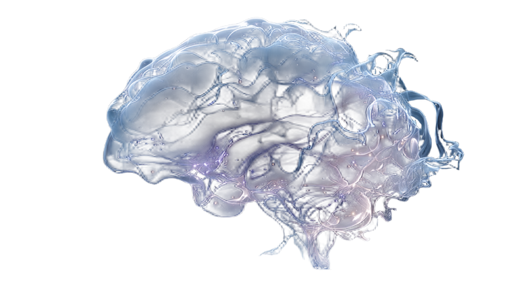 Holographic Brain V2 Vinyl Car Decal Sticker – Waterproof & UV-Resistant 5.4