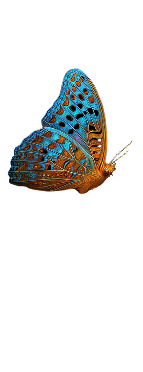 Fantasy Butterfly Art V2 Vinyl Car Decal Sticker – Waterproof & UV-Resistant 5.8133333333333335"