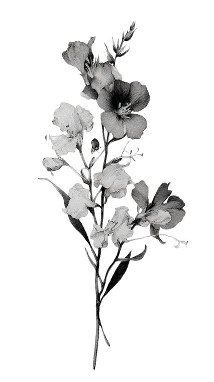 Delicate Floral Bouquet Vinyl Car Decal Sticker – Waterproof & UV-Resistant 4.8533333333333335"