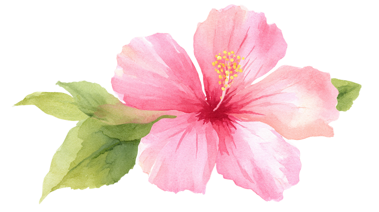 Pink Hibiscus Bloom V2 Vinyl Car Decal Sticker – Waterproof & UV-Resistant 5.4